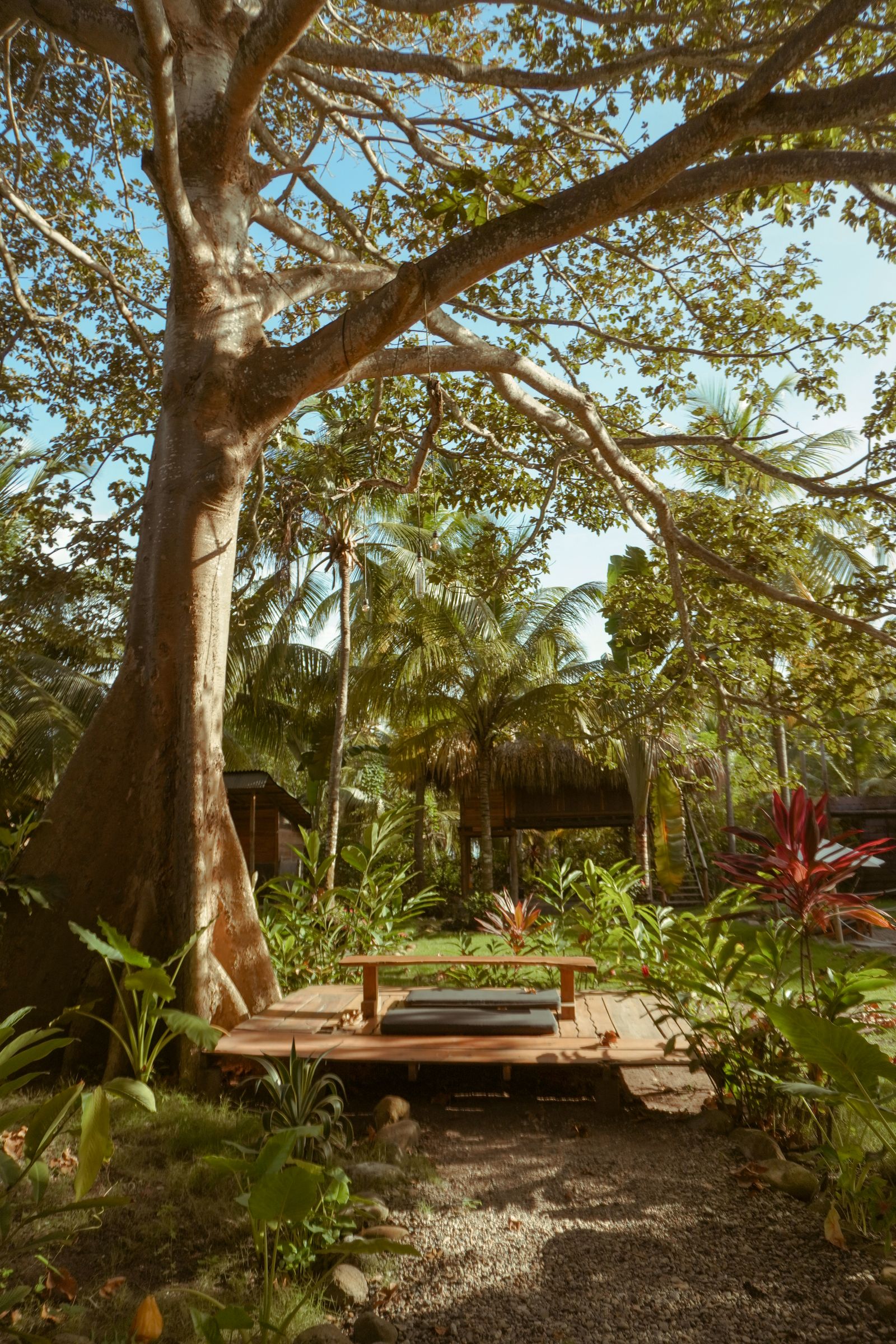 Zona de descanso y meditación bajo un gran árbol, entre palmeras y las cabañas de madera al fondo.
